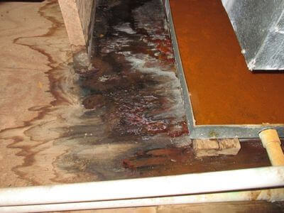 About water damage restoration service - emergency water extraction services experts in Nashua